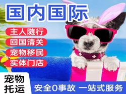 抚远机场邮寄国际宠物托运 【国